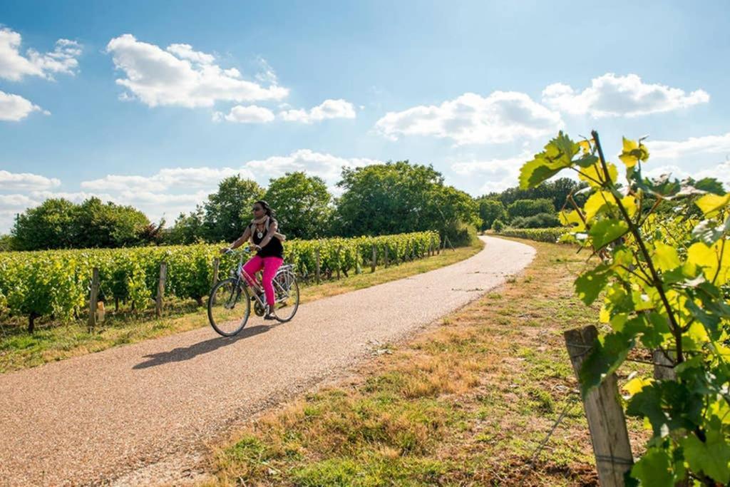 Studio Au Coeur Des Vignes Appartamento Montlouis-sur-Loire Esterno foto